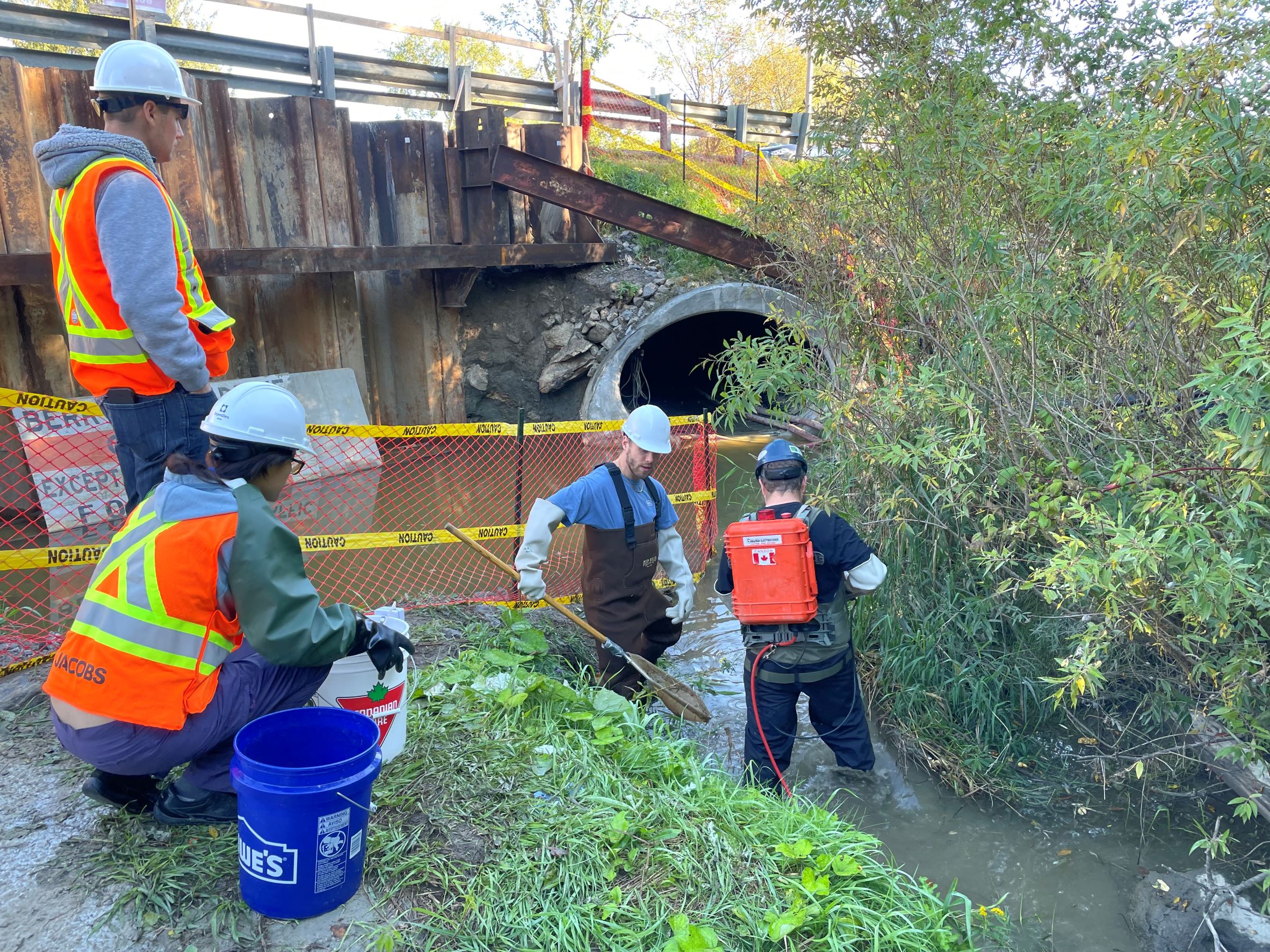 Dalewood Road Bridge